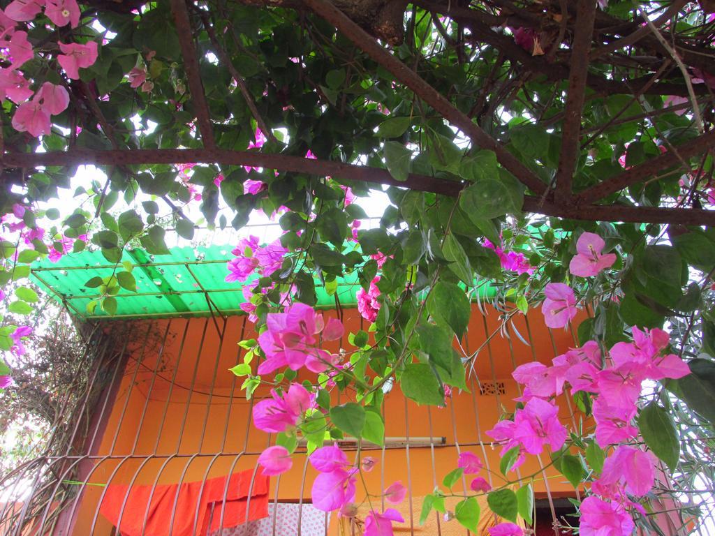 Pubali Homestay โบลปูร์ ภายนอก รูปภาพ